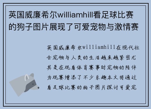 英国威廉希尔williamhill看足球比赛的狗子图片展现了可爱宠物与激情赛事的完美结合